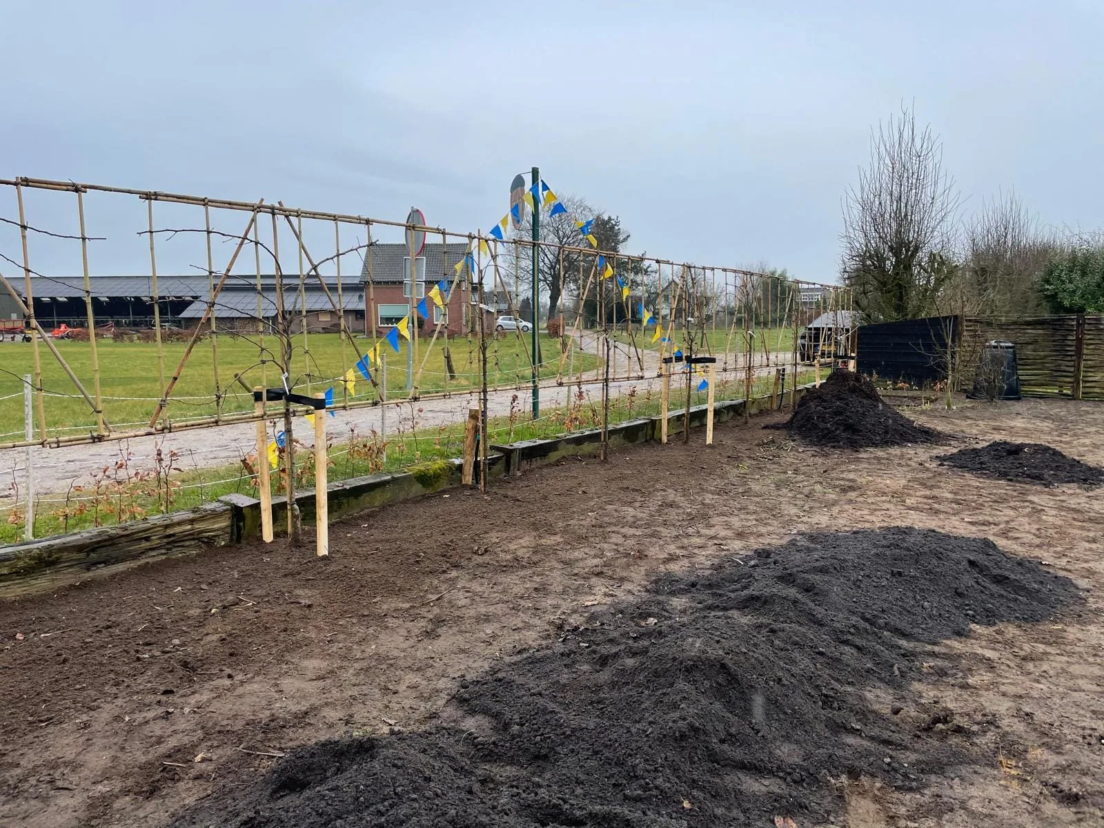 Fruithaag rondom de moestuin: slim ruimtegebruik met leifruit — foto 5