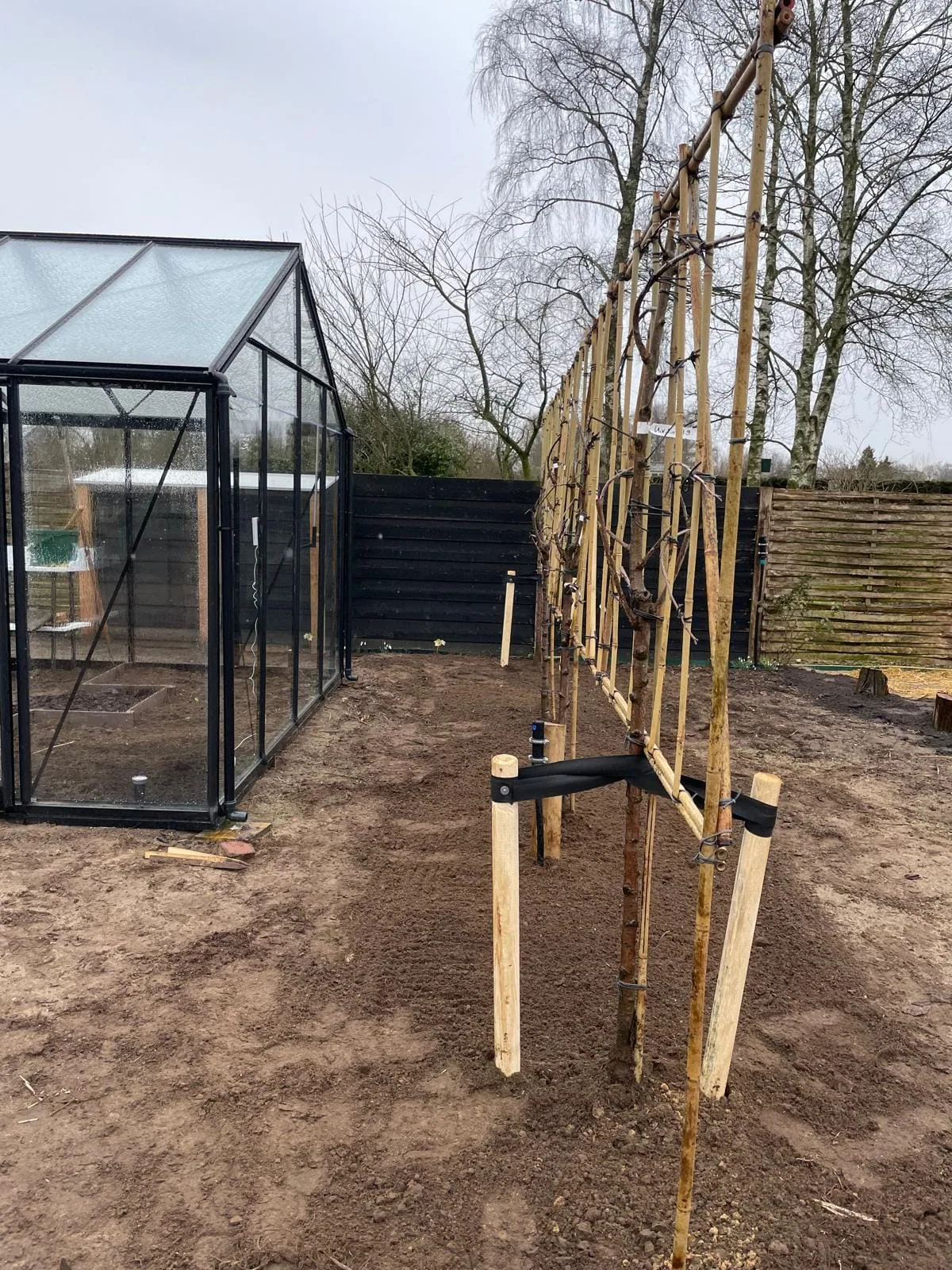 Fruithaag rondom de moestuin: slim ruimtegebruik met leifruit — foto 3