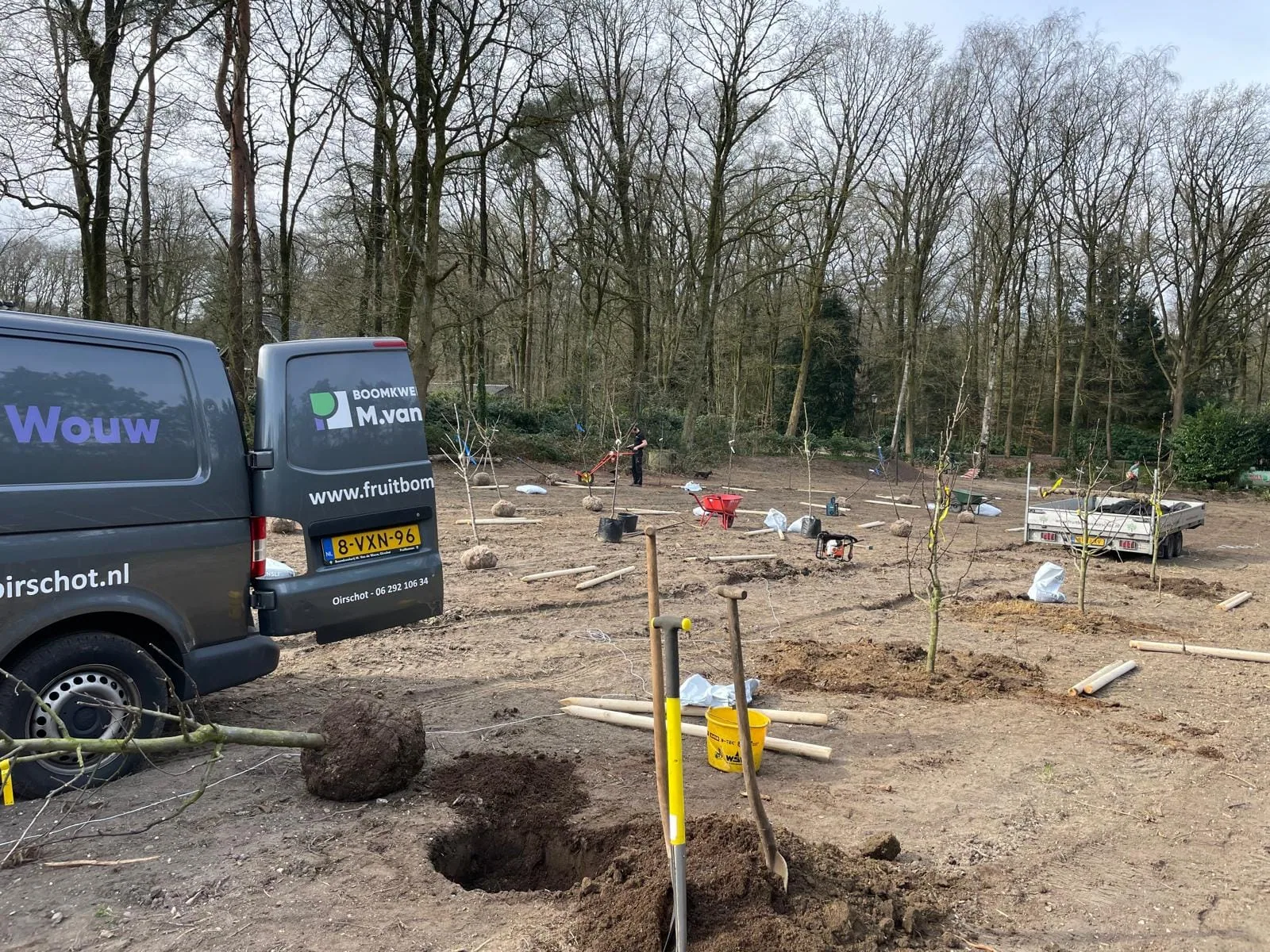 Fruitboomgaard van 40 bomen met slimme combinatie van laagstam en halfstam — foto 2
