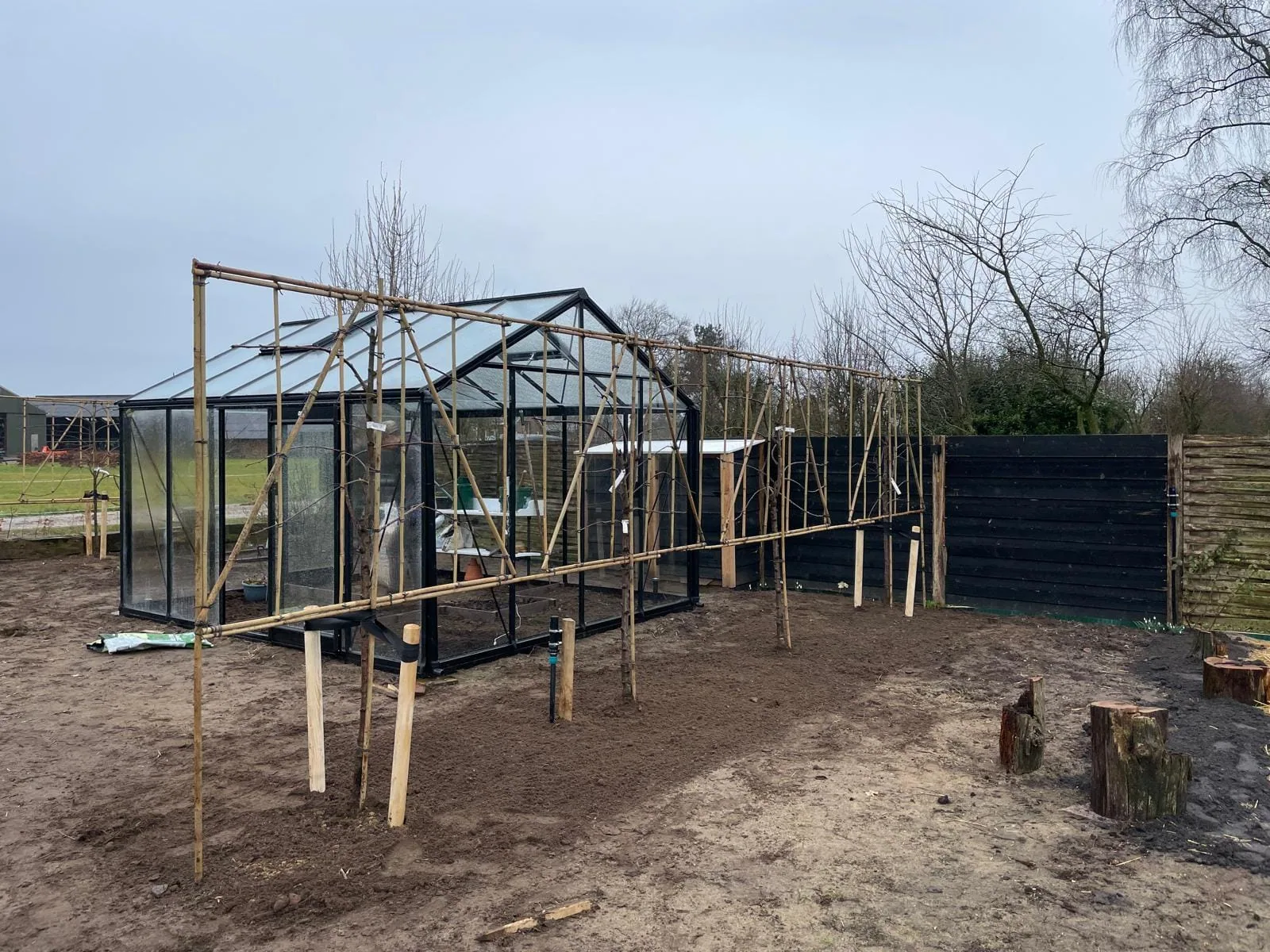 Fruithaag rondom de moestuin: slim ruimtegebruik met leifruit — foto 1