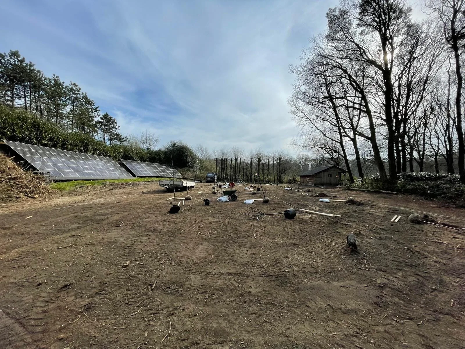 Fruitboomgaard van 40 bomen met slimme combinatie van laagstam en halfstam — foto 1