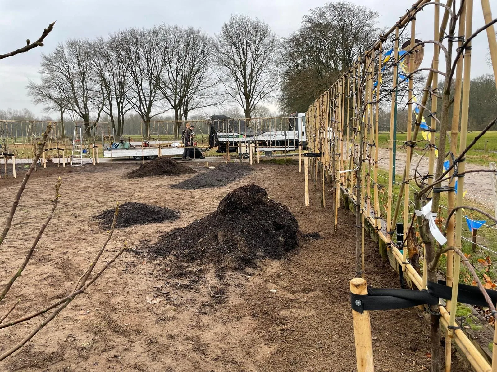 Fruithaag rondom de moestuin: slim ruimtegebruik met leifruit — foto 4