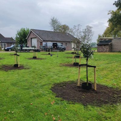 halfstam project Oirschot 2