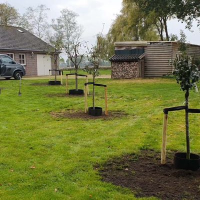 halfstam project Oirschot