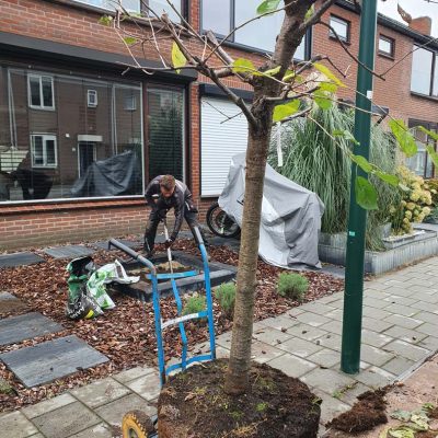 project halfstam kers dongen